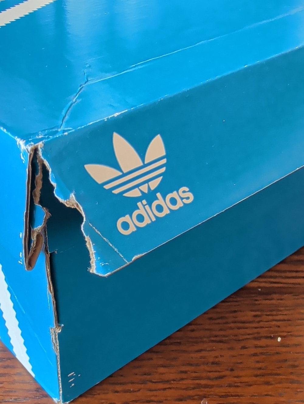adidas Originals Gazelle Indoor Sneakers - Picture 11 of 11